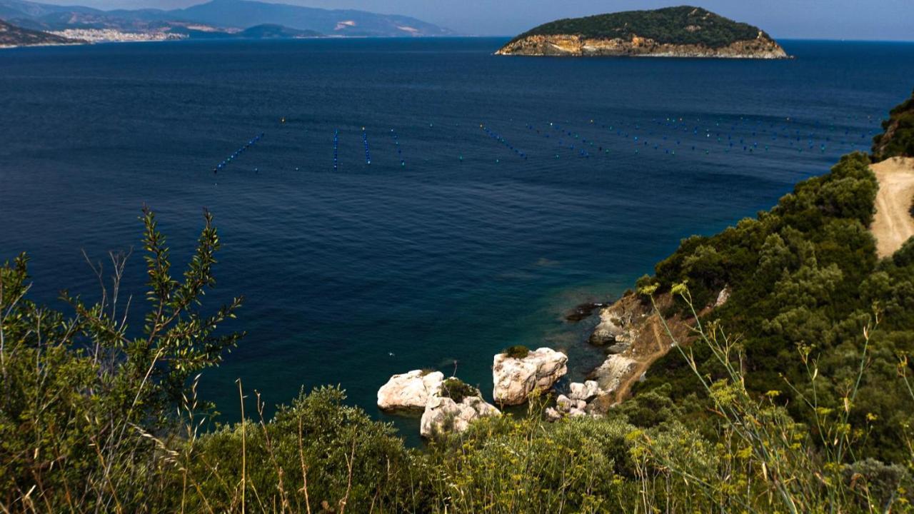 Mavridis House Βίλα Ελευθερούπολη Εξωτερικό φωτογραφία