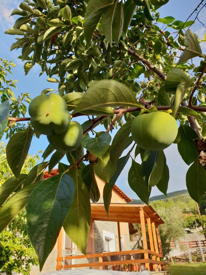 Mavridis House Βίλα Ελευθερούπολη Εξωτερικό φωτογραφία